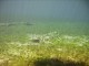 Thumbs/tn_Clear Lake 007.jpg